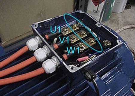 motor junction box peckerhead|motor peckerhead.